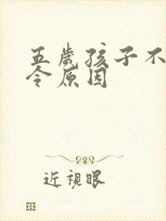 五岁孩子不听指令原因