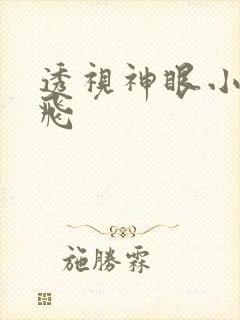 透视神眼小说林飞