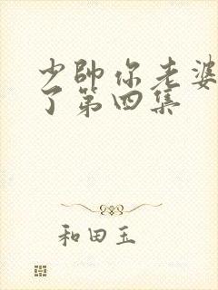 少帅你老婆又跑了第四集