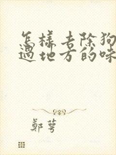 怎样去除狗狗尿过地方的味道