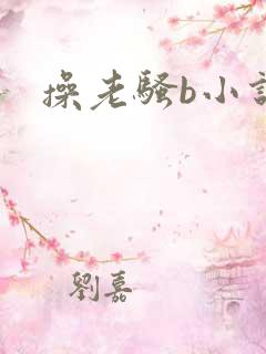 操老骚b小说