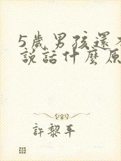 5岁男孩还不会说话什么原因