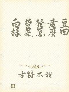 白带发黄豆腐渣样是怎么回事