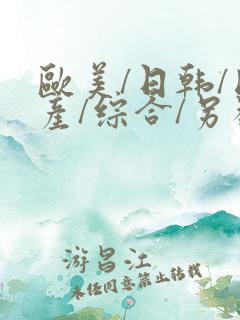 欧美/日韩/国产/综合/另类