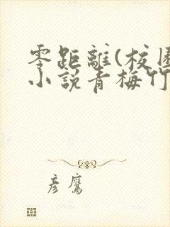 零距离(校园)小说青梅竹马