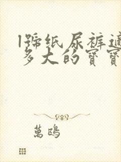 l号纸尿裤适合多大的宝宝