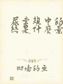 尿常规中的粘液丝是什么意思