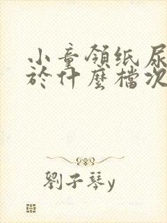 小童领纸尿裤属于什么档次