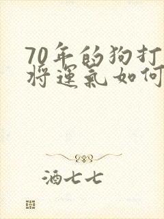 70年的狗打麻将运气如何呢
