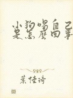 小狗喝自己的尿是怎么回事