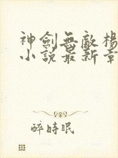 神剑无敌杨小天小说最新章节列