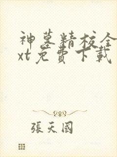 神墓精校全本txt免费下载