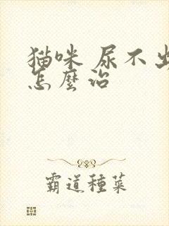 猫咪 尿不出尿怎么治