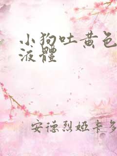 小狗吐黄色粘稠液体