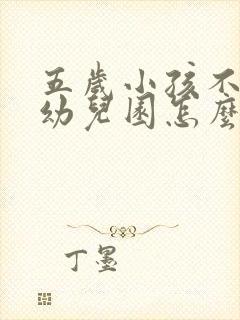 五岁小孩不去上幼儿园怎么办