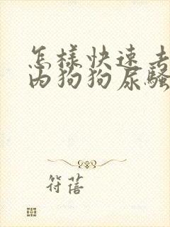 怎样快速去除室内狗狗尿骚味