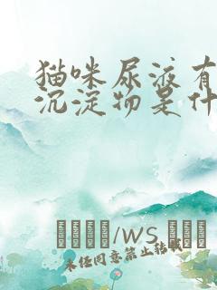 猫咪尿液有絮状沉淀物是什么