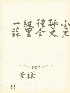 一级律师小说木苏里全文免费阅读