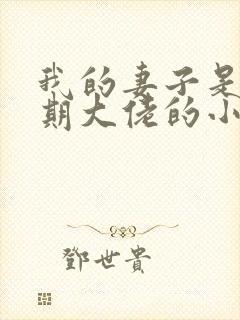 我的妻子是大乘期大佬的小说