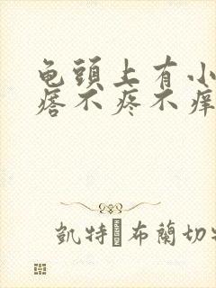 龟头上有小红疙瘩不疼不痒是怎么回事