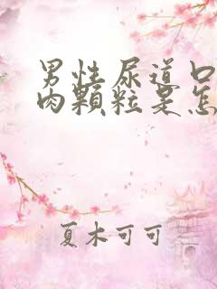 男性尿道口长小肉颗粒是怎么回事