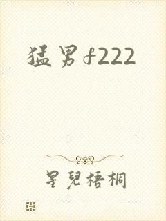 猛男f222