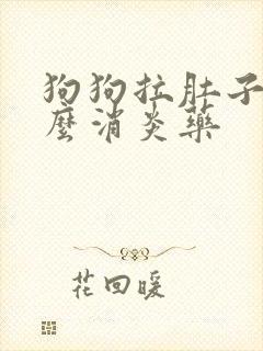 狗狗拉肚子吃什么消炎药