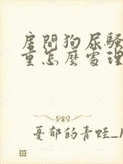 房间狗尿骚味严重怎么处理