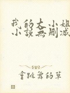 我的大小姐老婆小说无删减在线阅读