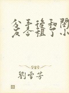 分手后和闺蜜男友合租了小说by放点陈醋