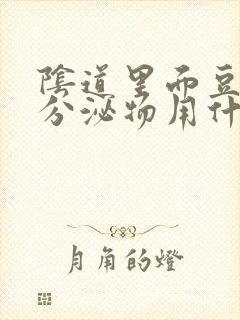 阴道里面豆腐渣分泌物用什么药