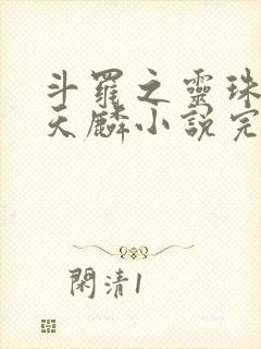 斗罗之灵珠神剑天麟小说完整版下载txt