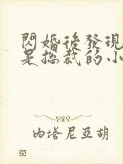 闪婚后发现老公是总裁的小说