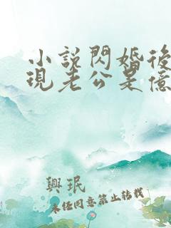 小说闪婚后,发现老公是亿万总裁免费阅读