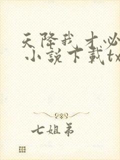 天降我才必有用 小说下载txt