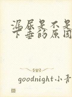 漏尿是不是子宫下垂的原因