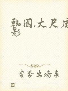 韩国,大尺度电影