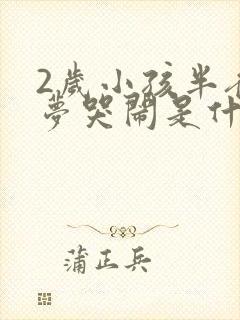 2岁小孩半夜做梦哭闹是什么原因