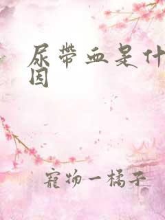 尿带血是什么原因