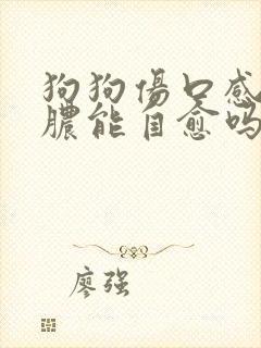 狗狗伤口感染化脓能自愈吗