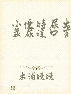 小便时尿出红色并尿道口有刺疼感