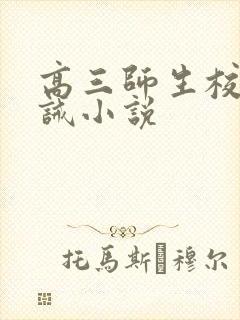 高三师生校园训诫小说