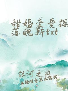 甜婚袭爱总裁的落魄新txt