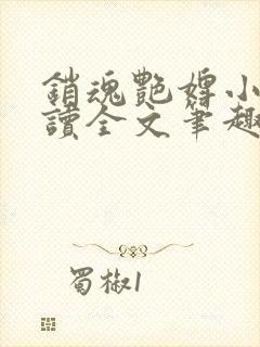 销魂艳婢小说阅读全文笔趣