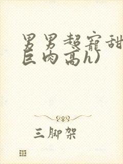 男男超宠甜文(巨肉高h)