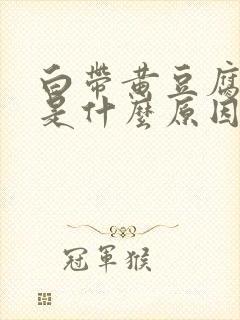 白带黄豆腐渣状是什么原因