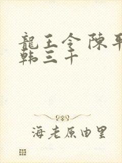 龙王令 陈平 韩三千