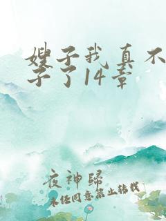 嫂子我真不是傻子了14章