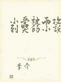 小受被两攻双龙到哭的小说