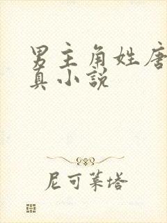 男主角姓唐的修真小说